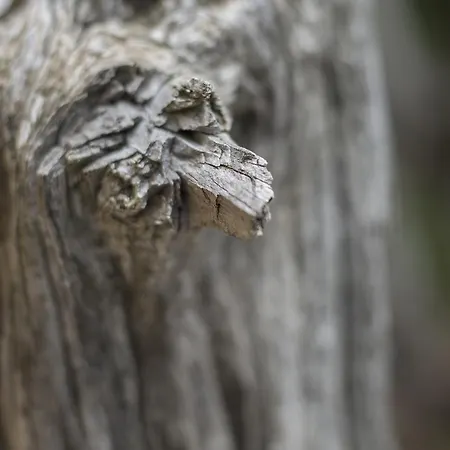 Gorropu ホテル 3*